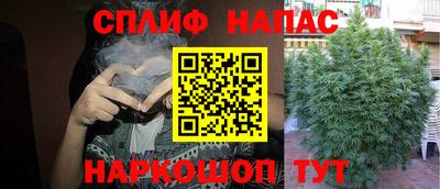mdma Новозыбков